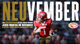 Neuvember startet wieder!